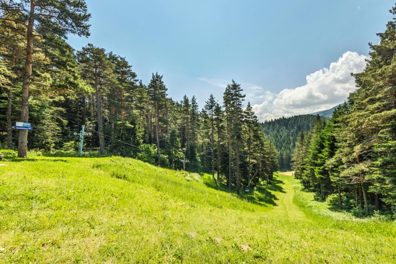 Хотел Магнолия, Hotel Magnoliya Paničišče Exteriér fotografie